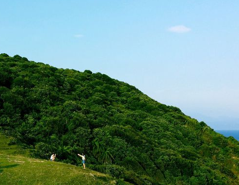 旅行社網(wǎng)站建設